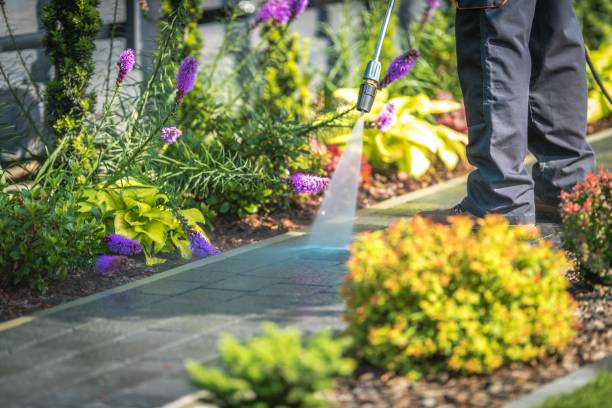 Best Residential Pressure Washing in New York Mills, MN